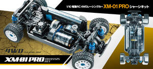 最終価格 ミニッツバギー カスタム 2.4 ブラシレスモーター